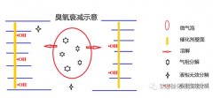 催化臭氧化工藝核心 — 催化劑填料與反應(yīng)器